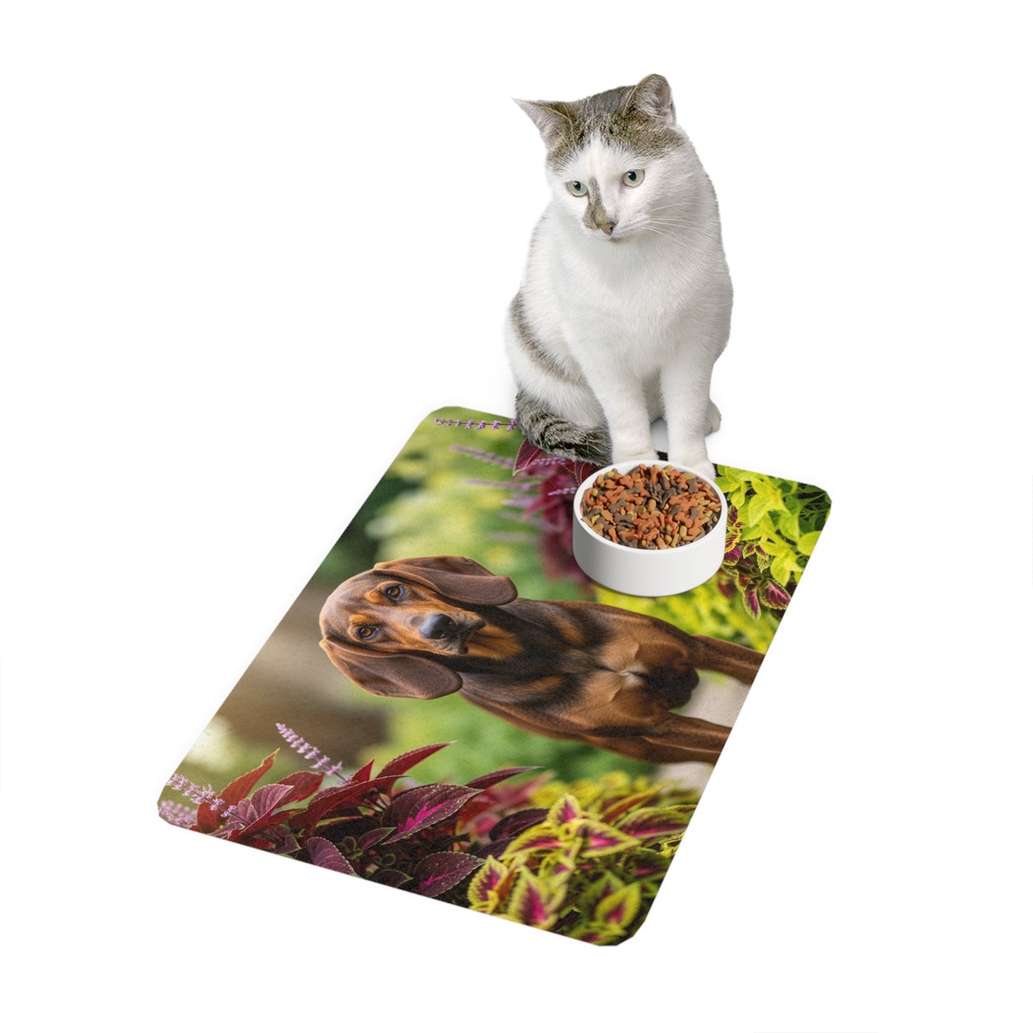 Tapis antidérapant pour animaux de compagnie – Tapis d'alimentation étanche pour chiens