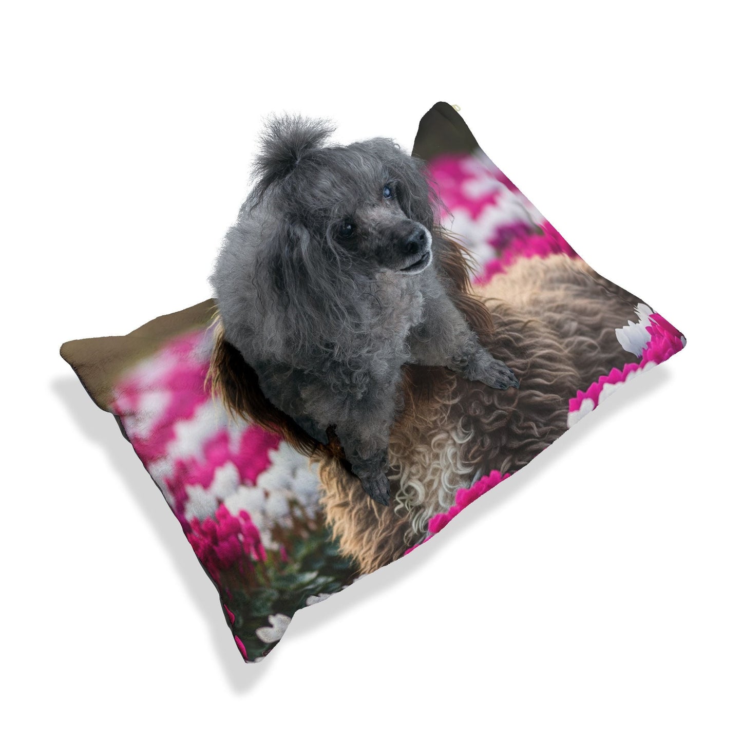 Lit pour animaux de compagnie – Lit douillet pour chien, 3 tailles disponibles