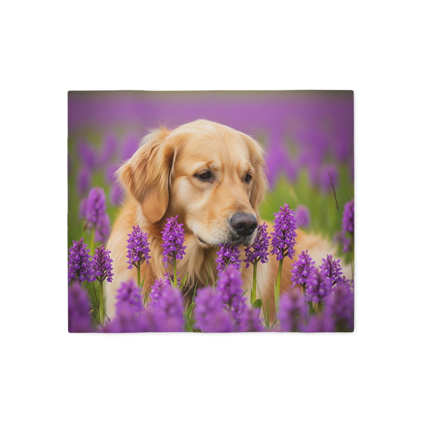 Sweatshirt Blanket – Plush Fleece Throw, 2 Size Options