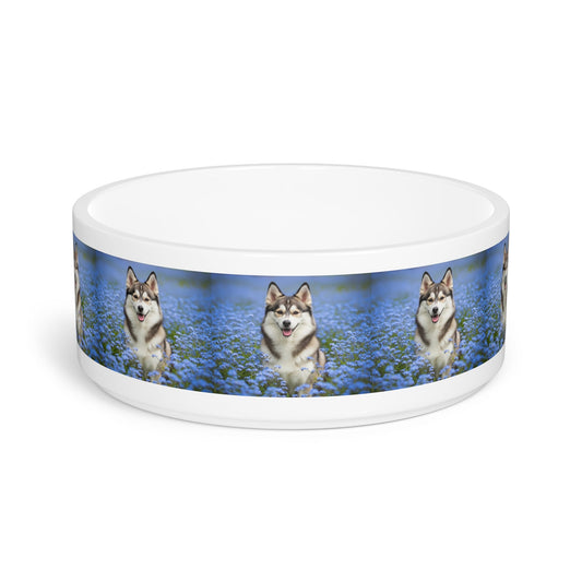 Ceramic Pet Bowl – 16 oz Dog Feeding Bowl