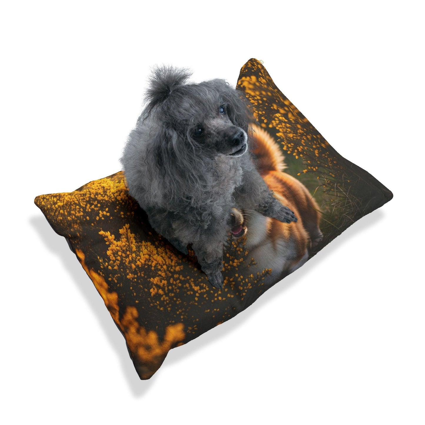Lit pour animaux de compagnie – Lit douillet pour chien, 3 tailles disponibles