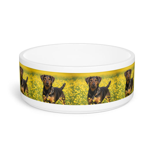 Ceramic Pet Bowl – 16 oz Dog Feeding Bowl