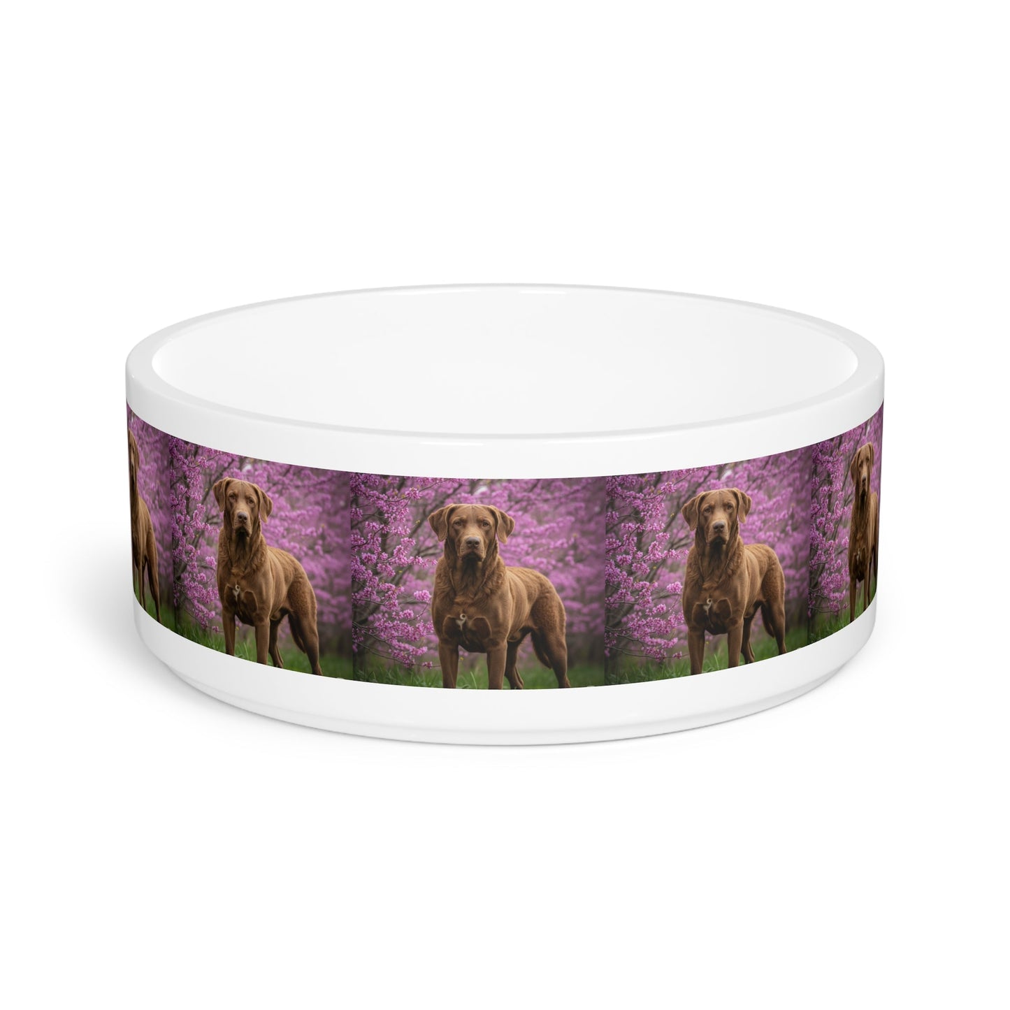 Ceramic Pet Bowl – 16 oz Dog Feeding Bowl