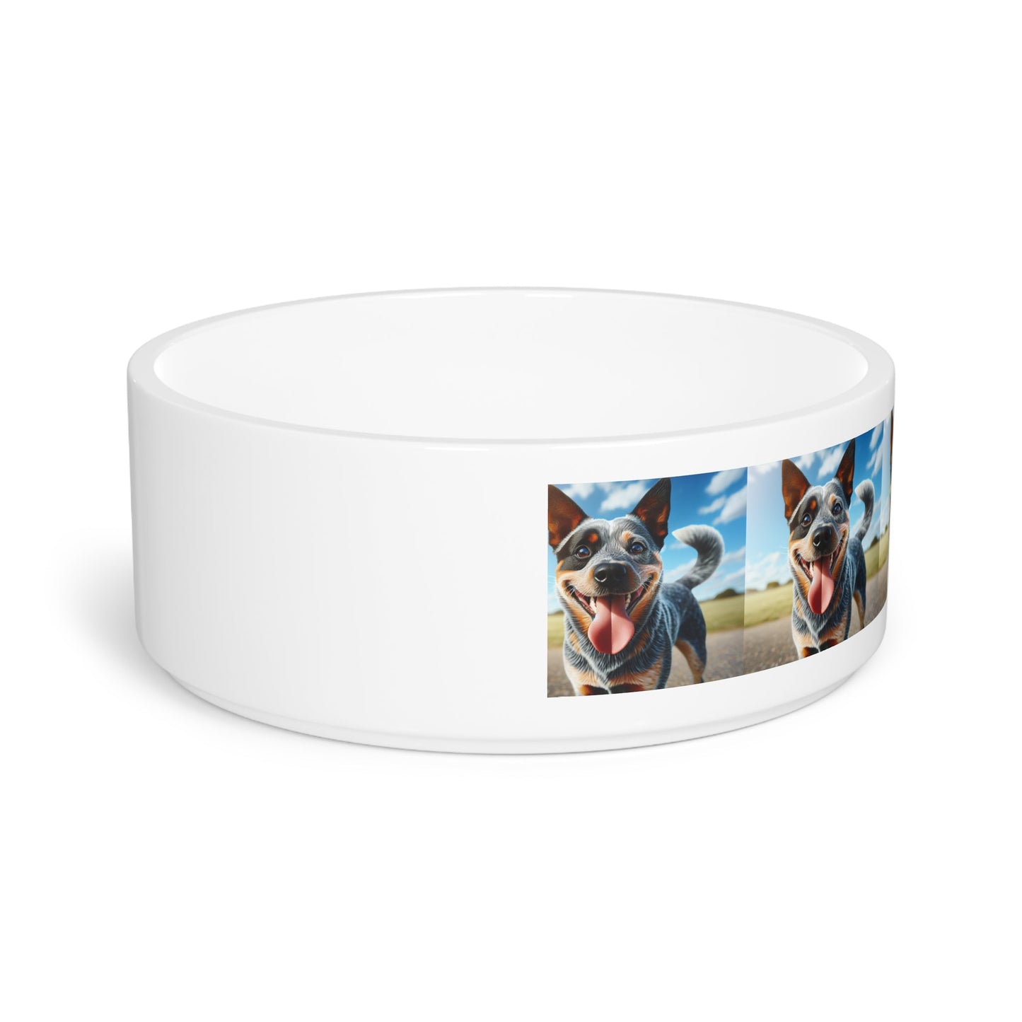 Gamelle en céramique pour animaux de compagnie – Gamelle de 47 cl pour chien