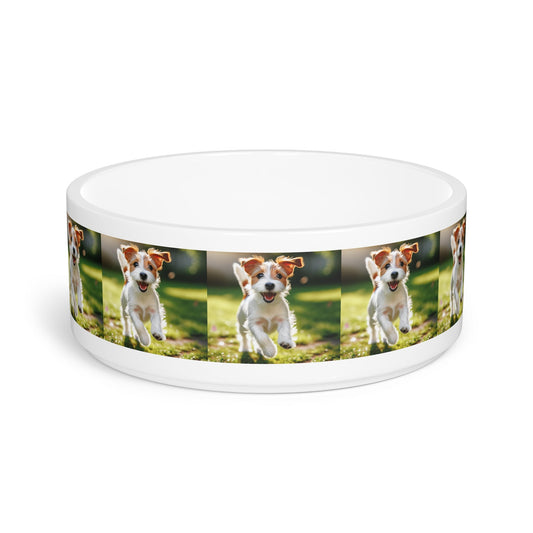 Ceramic Pet Bowl – 16 oz Dog Feeding Bowl