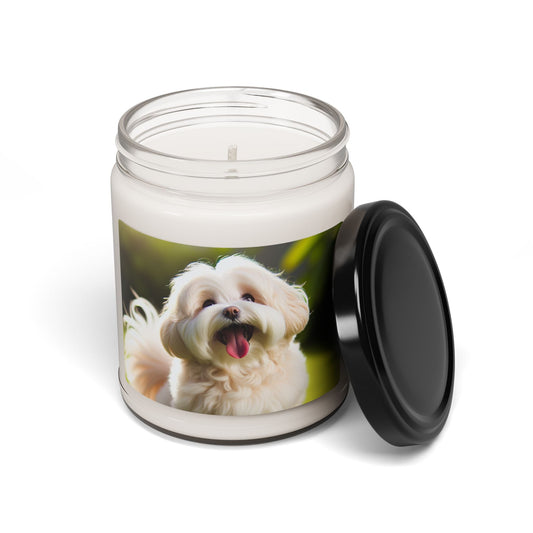 Soy Candle – Scented Jar Candle