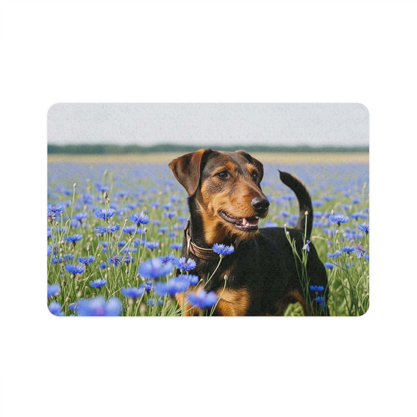 Non-Slip Pet Food Mat – Waterproof Feeding Mat for Dogs