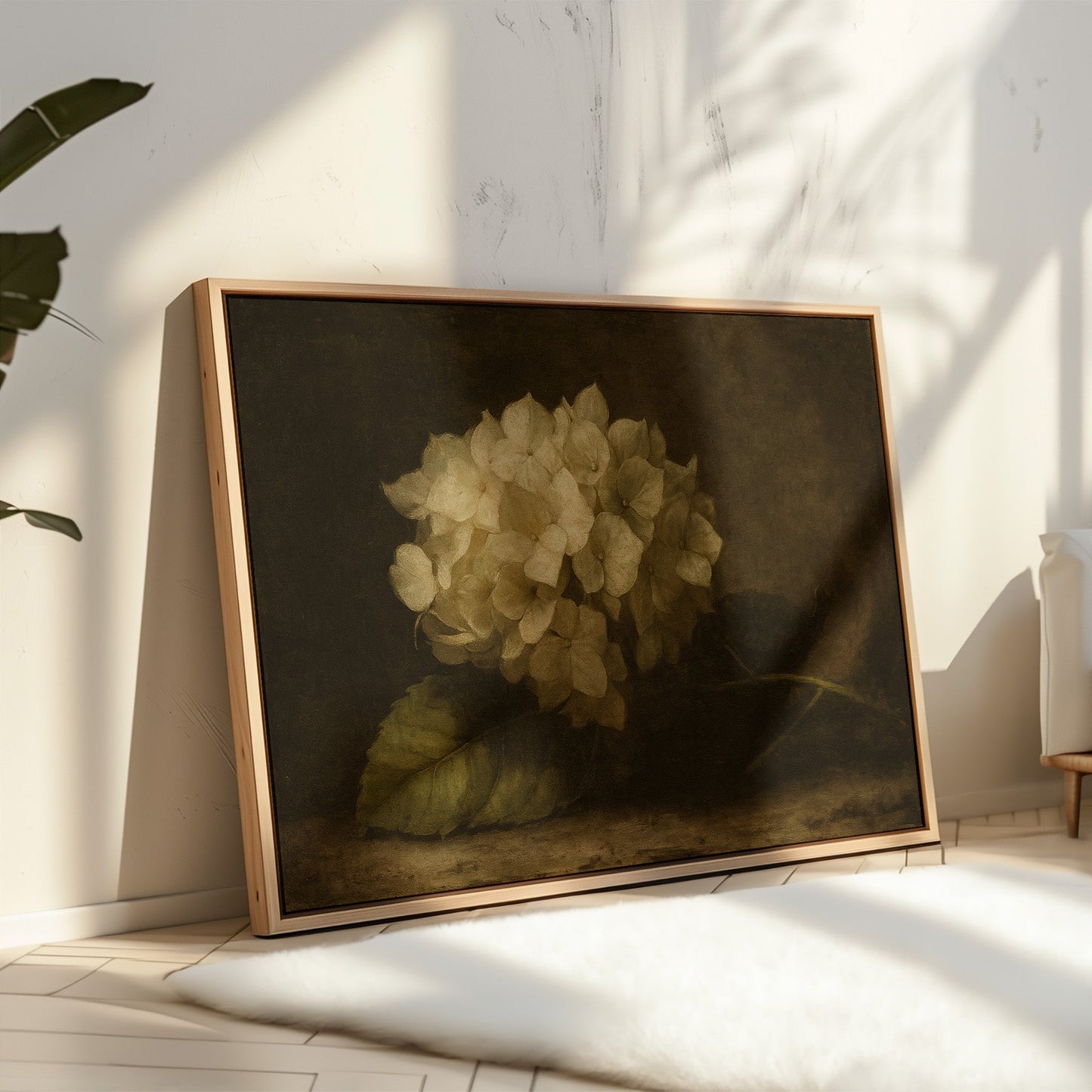 Verblasste Eleganz Hortensie