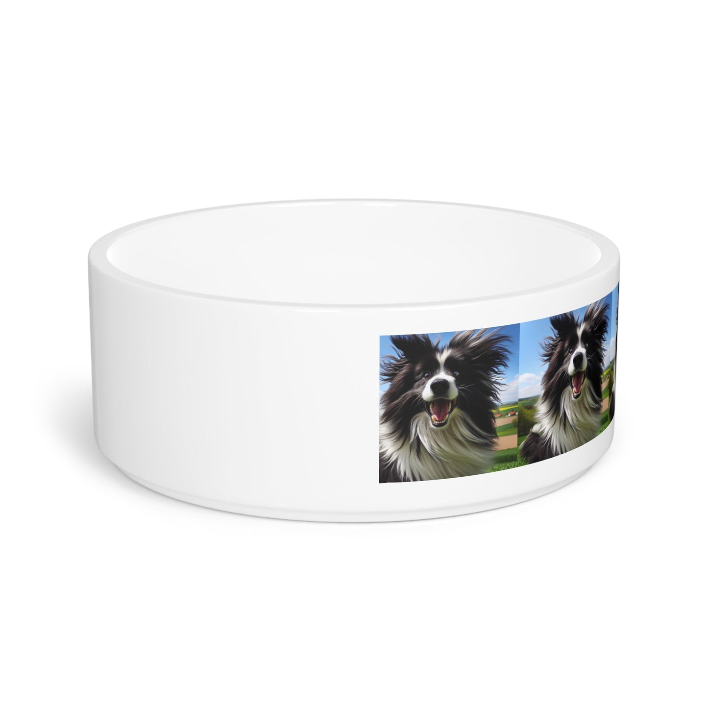 Ceramic Pet Bowl – 16 oz Dog Feeding Bowl