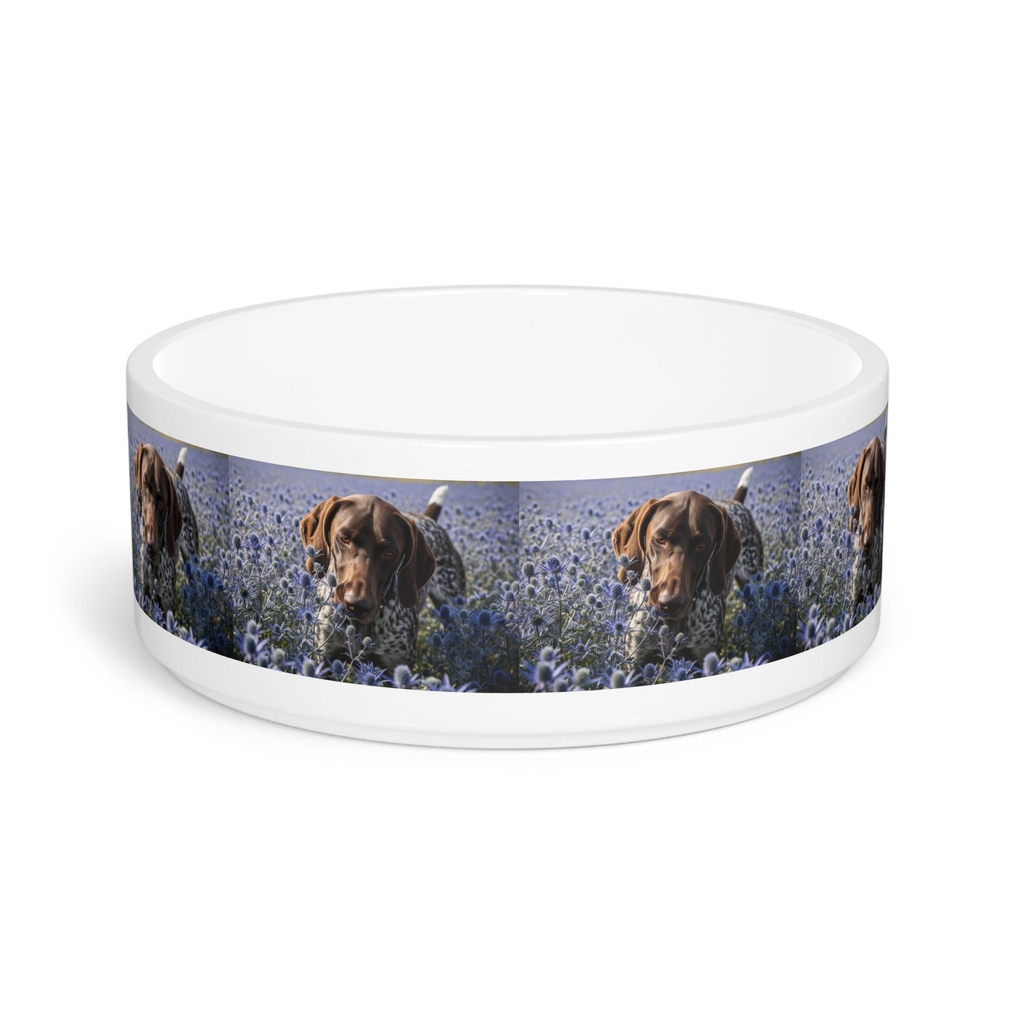 Gamelle en céramique pour animaux de compagnie – Gamelle de 47 cl pour chien