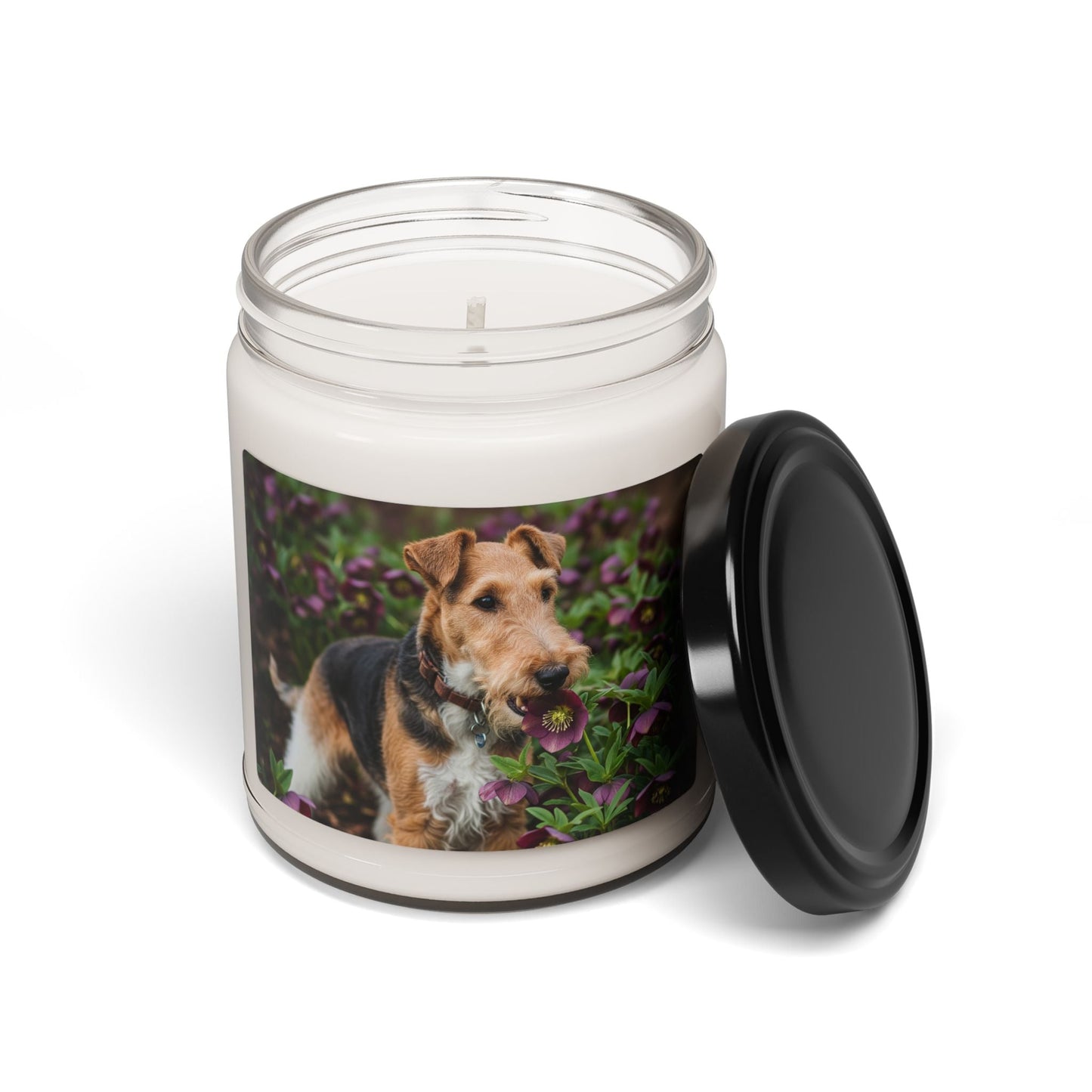 Soy Candle – Scented Jar Candle