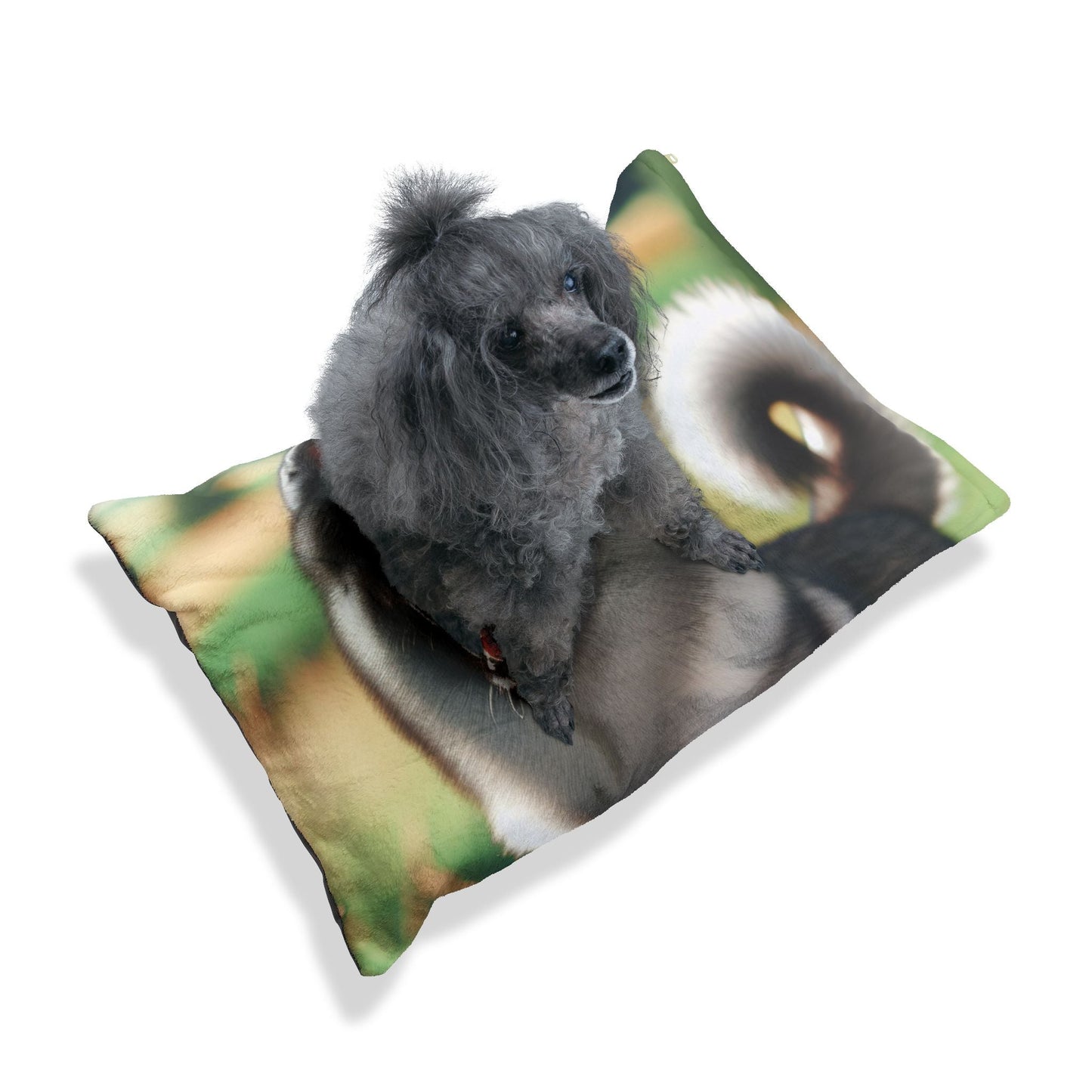 Lit pour animaux de compagnie – Lit douillet pour chien, 3 tailles disponibles