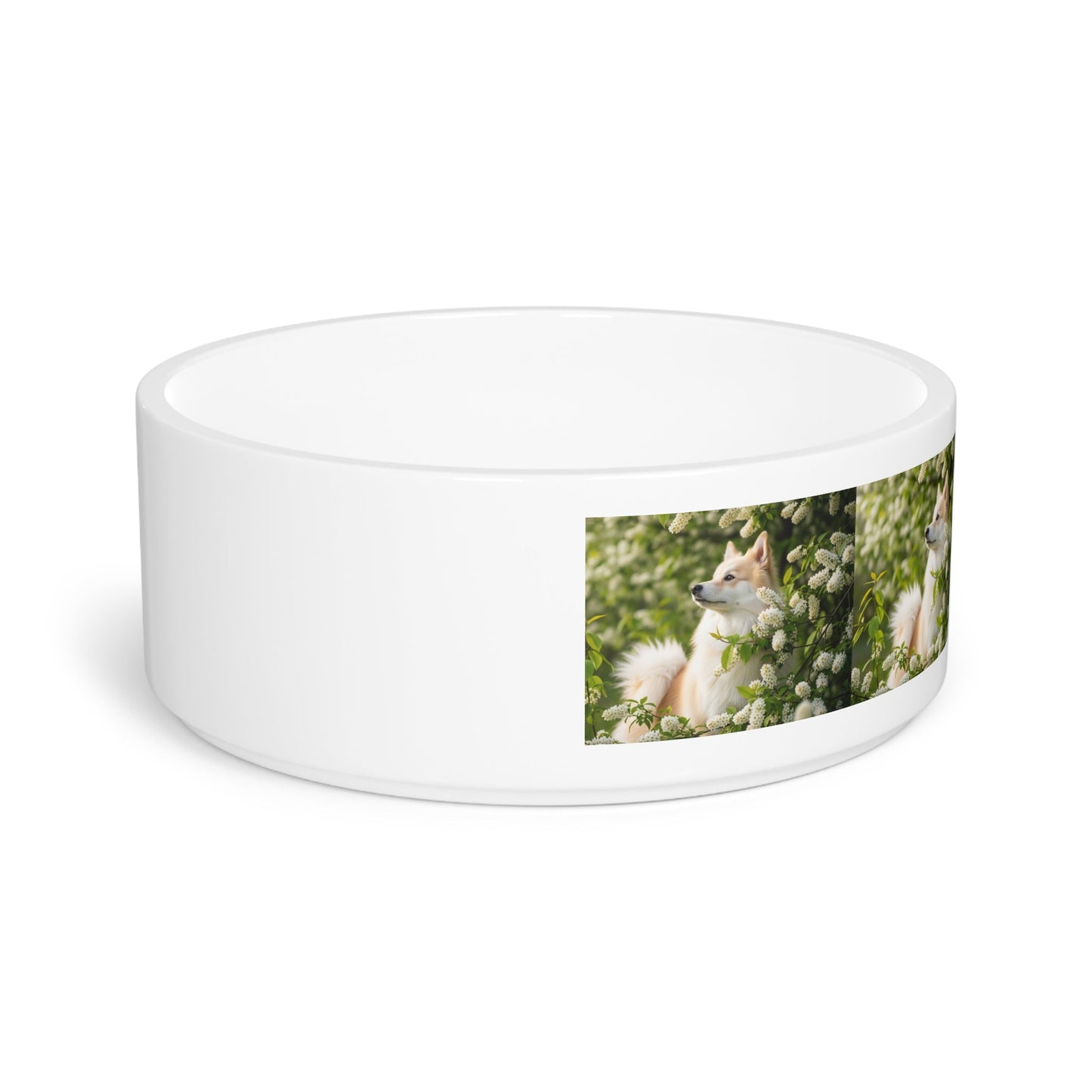 Ceramic Pet Bowl – 16 oz Dog Feeding Bowl