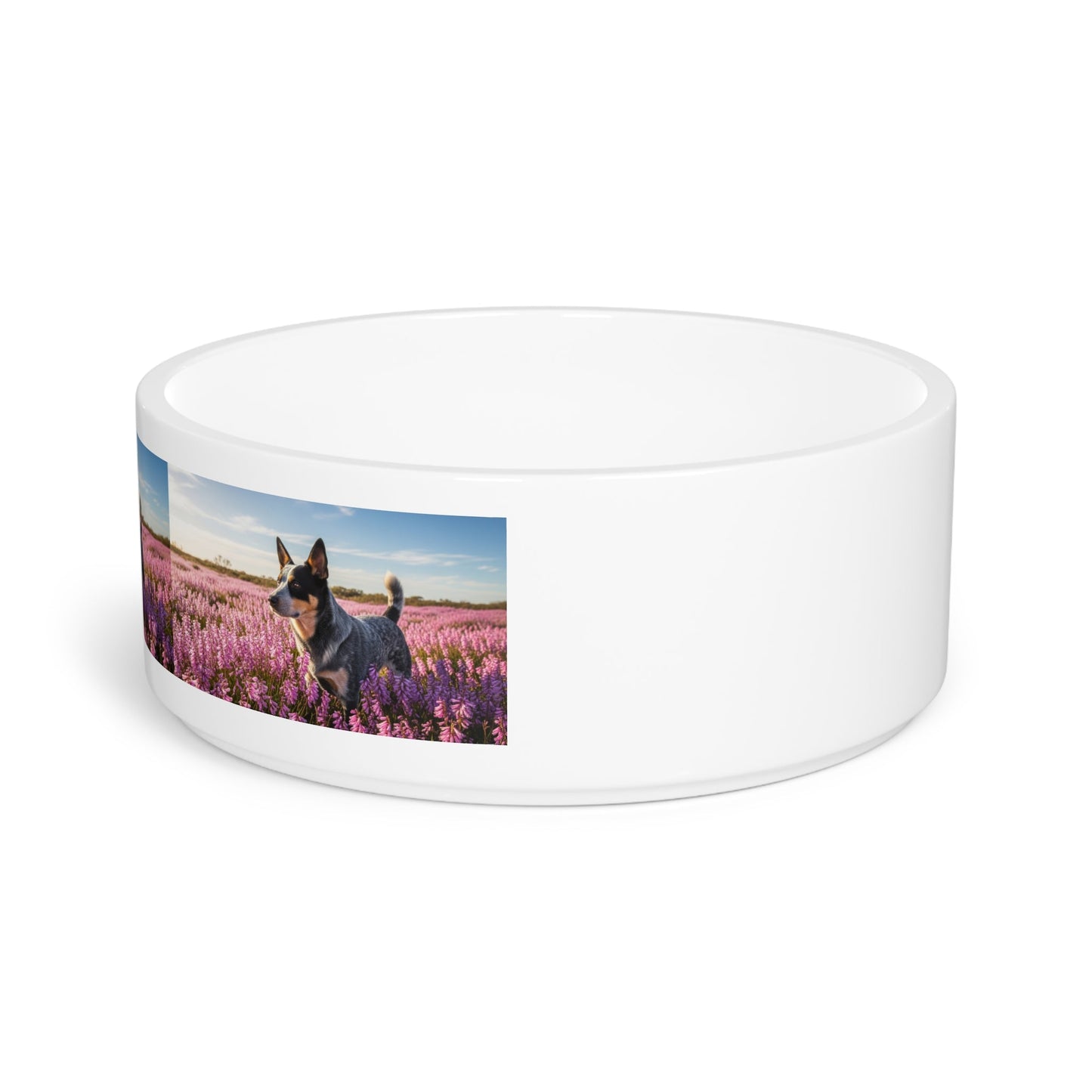 Ceramic Pet Bowl – 16 oz Dog Feeding Bowl