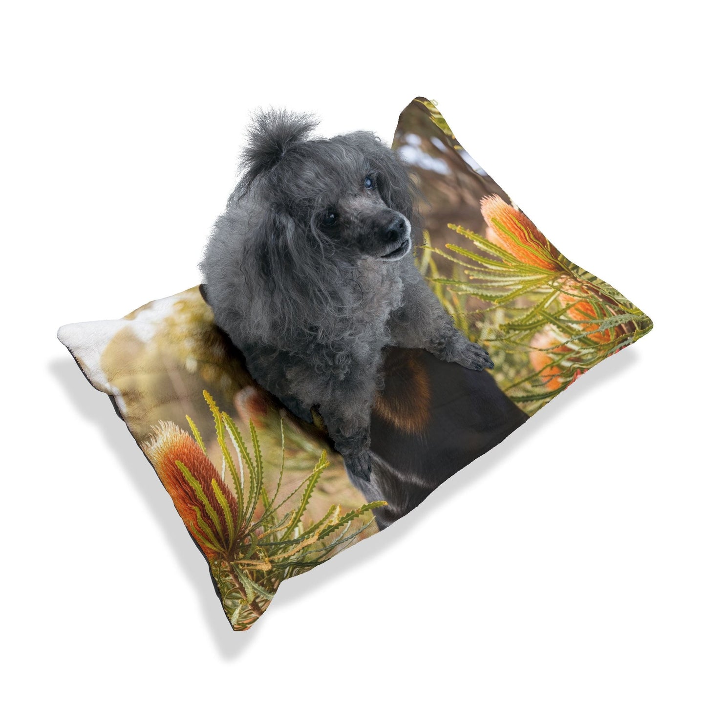 Haustierbett – Plüsch-Hundebett, 3 Größenoptionen