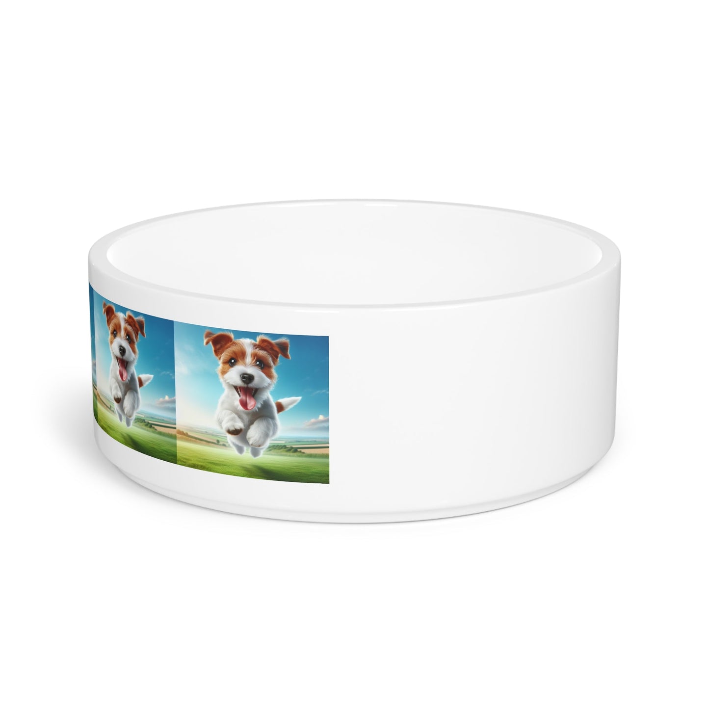 Gamelle en céramique pour animaux de compagnie – Gamelle de 47 cl pour chien