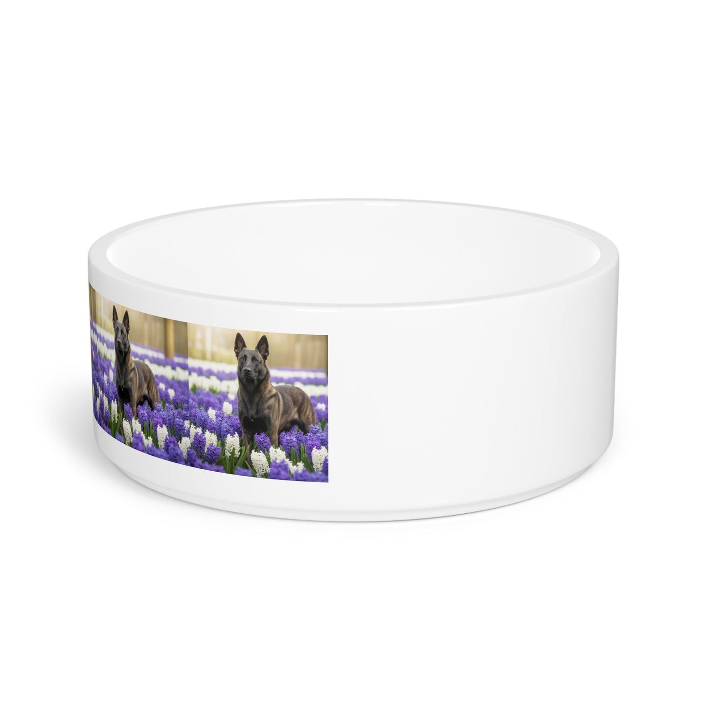 Ceramic Pet Bowl – 16 oz Dog Feeding Bowl