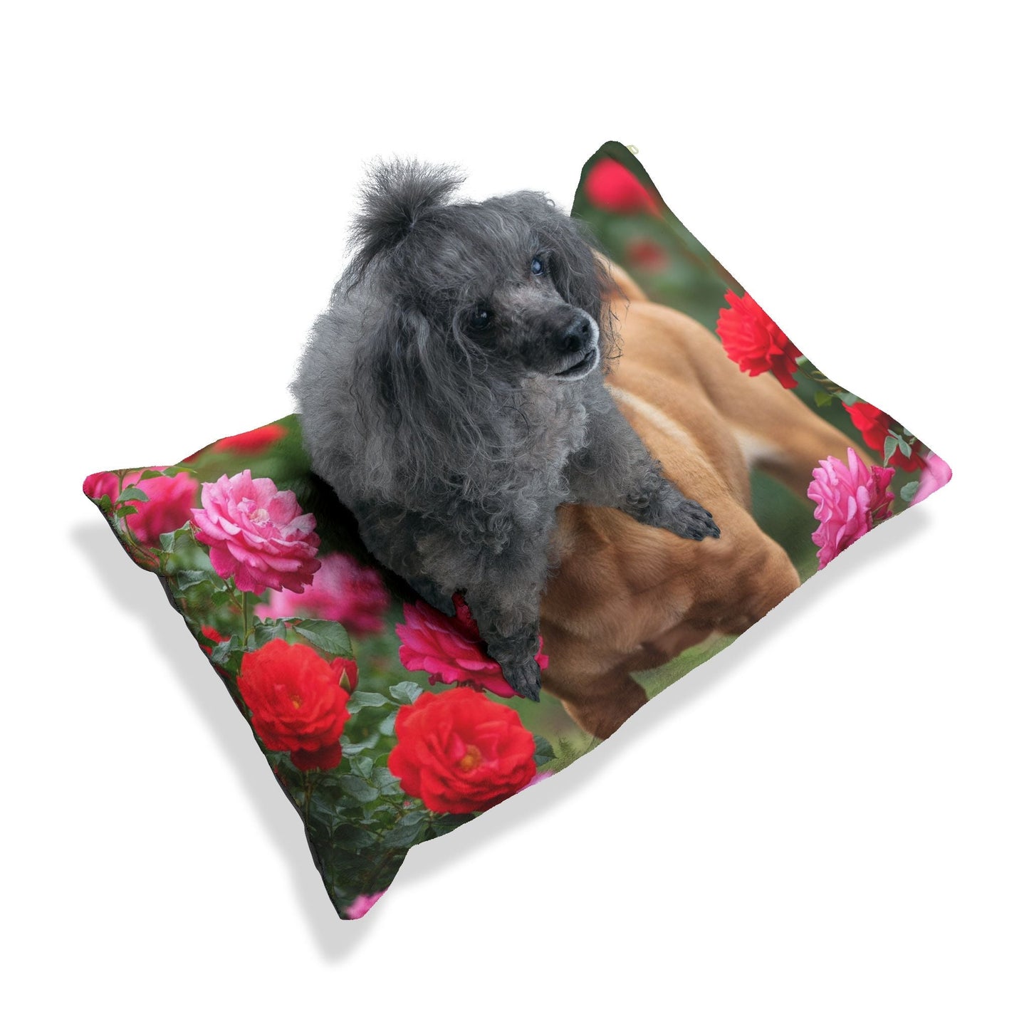 Pet Bed – Plush Dog Bed, 3 Size Options