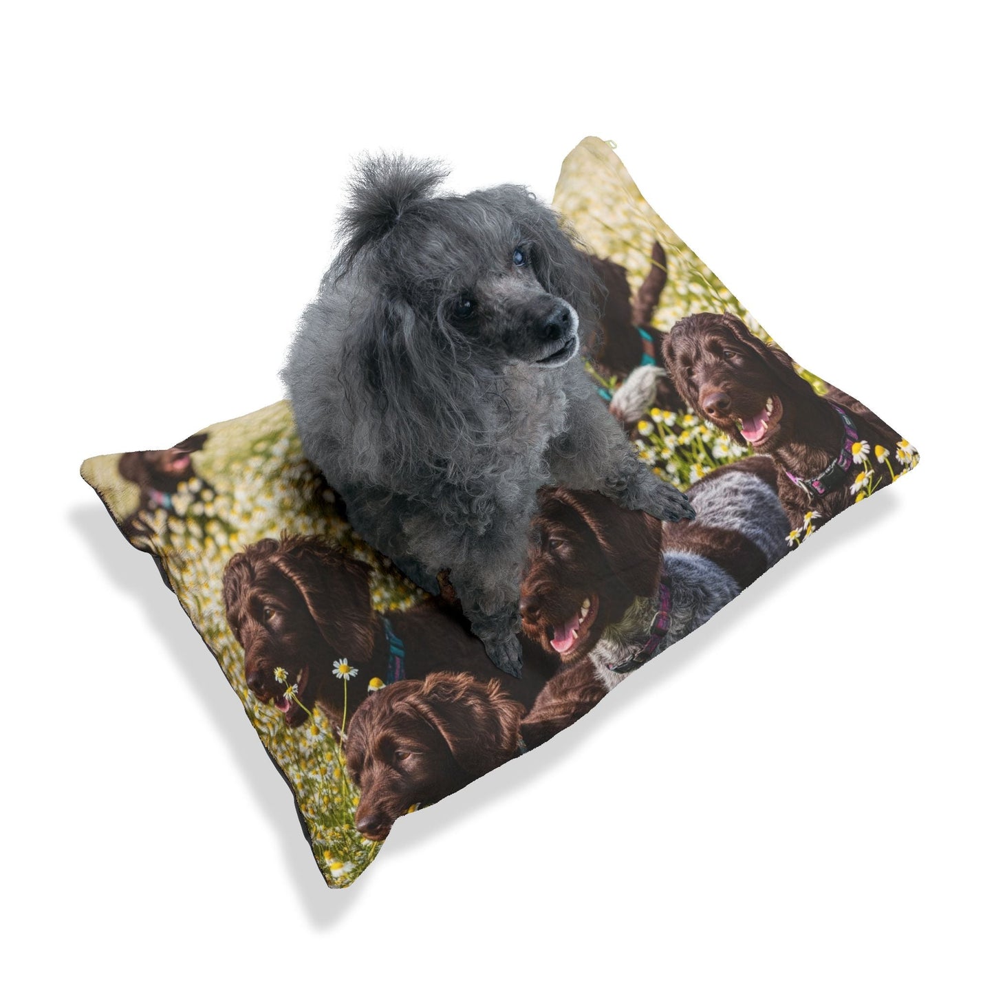 Haustierbett – Plüsch-Hundebett, 3 Größenoptionen