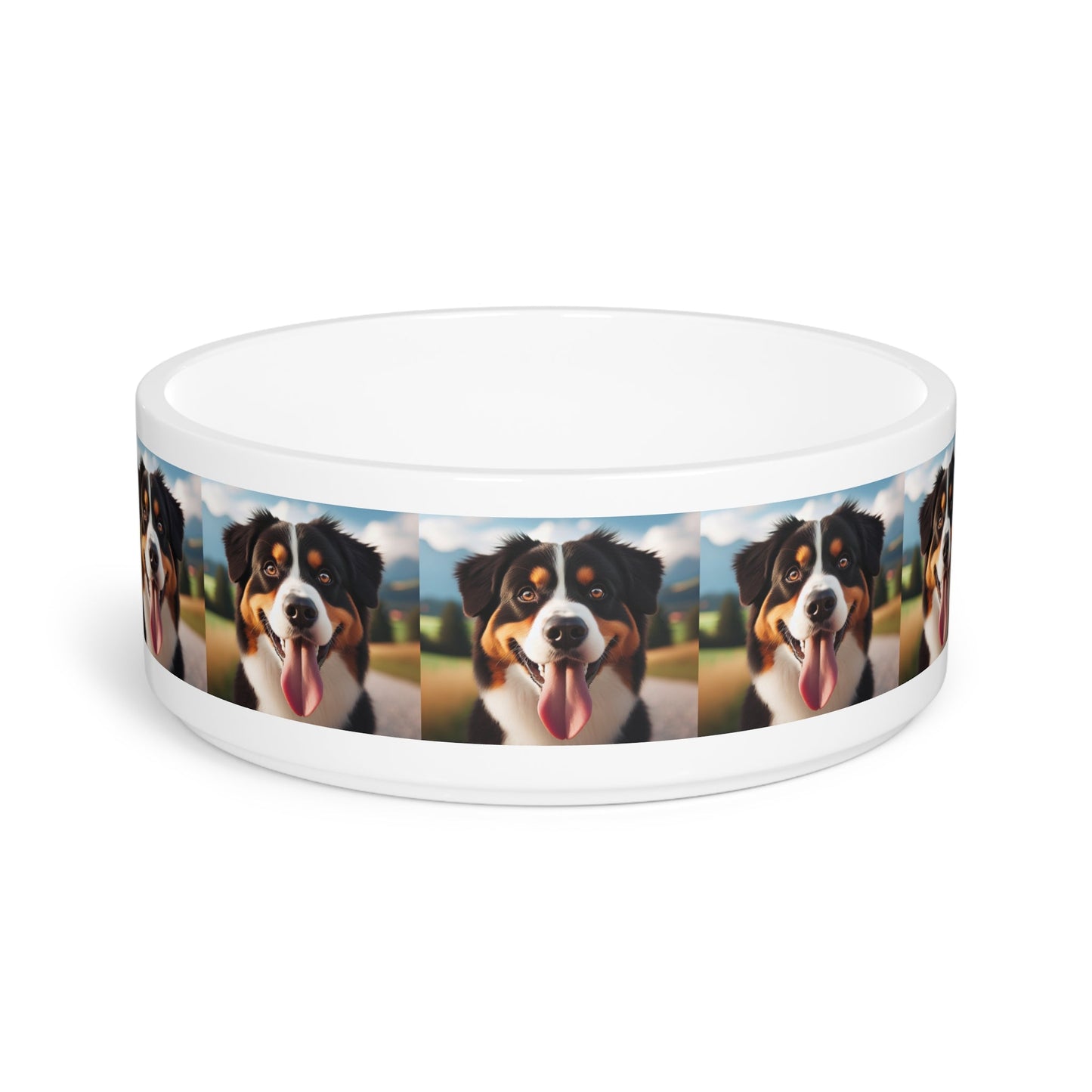Ceramic Pet Bowl – 16 oz Dog Feeding Bowl