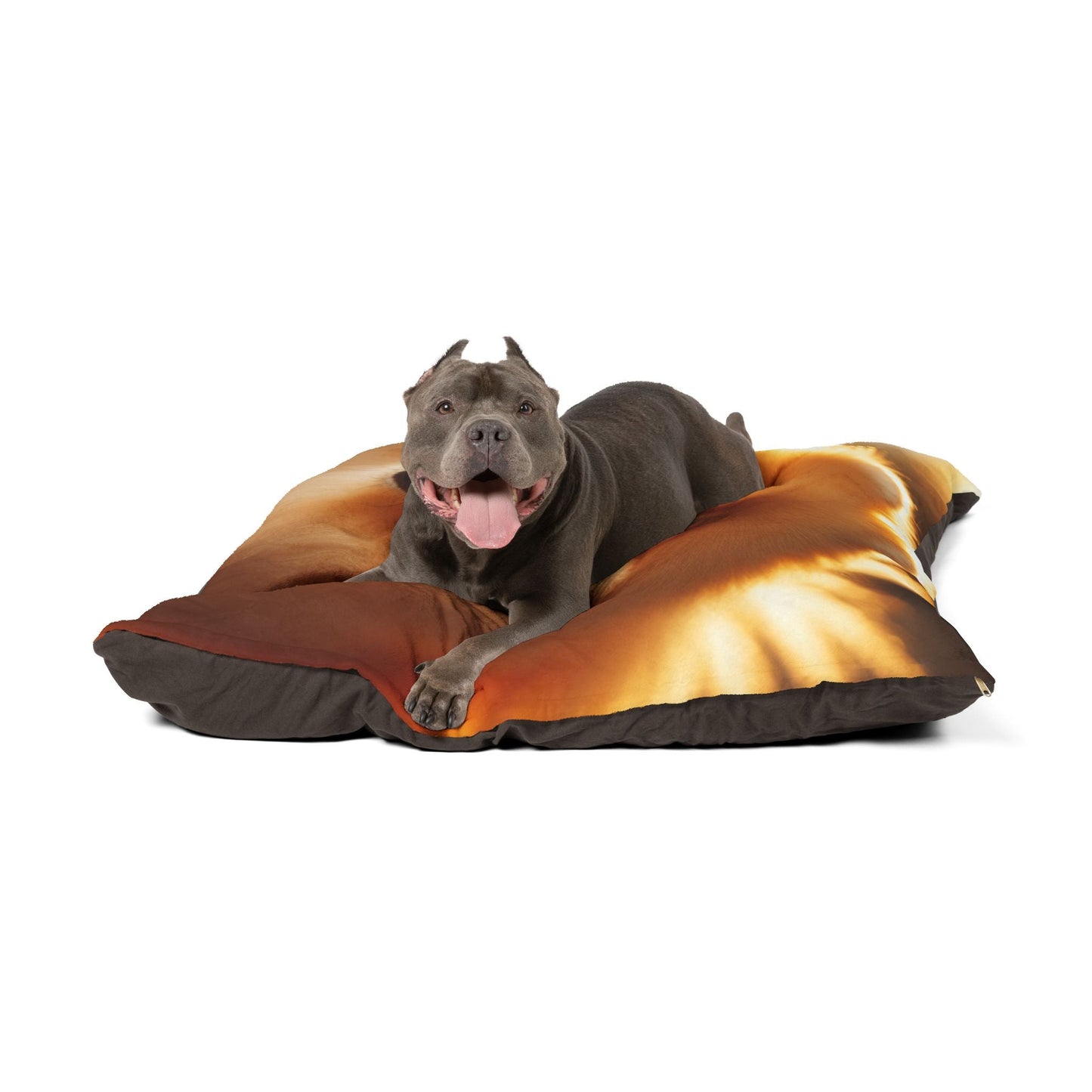 Pet Bed – Plush Dog Bed, 3 Size Options