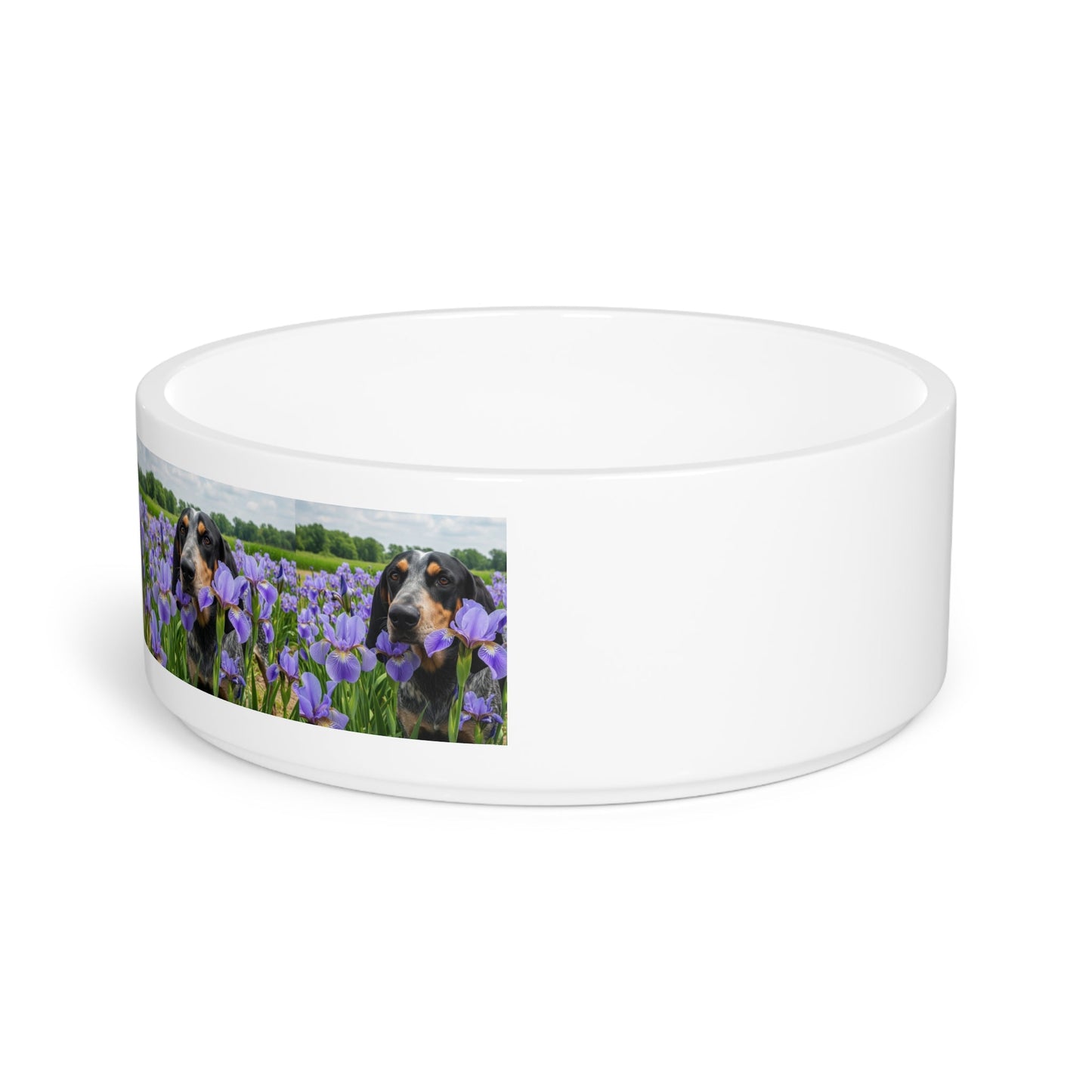 Ceramic Pet Bowl – 16 oz Dog Feeding Bowl