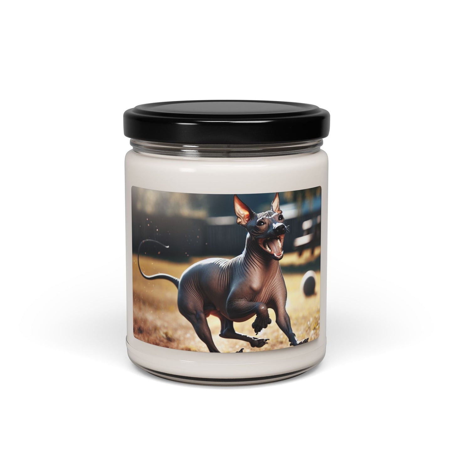 Soy Candle – Scented Jar Candle