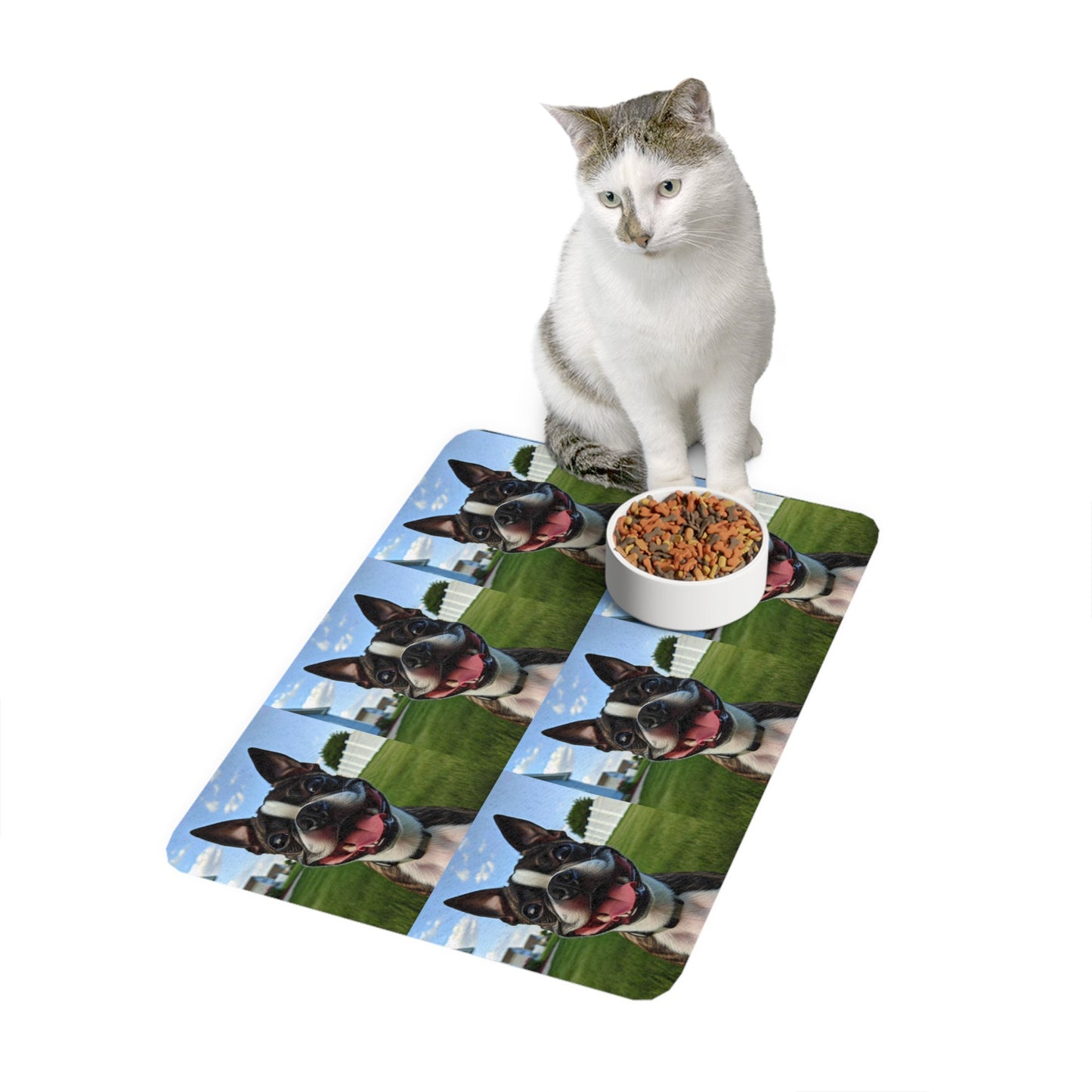 Tapis antidérapant pour animaux de compagnie – Tapis d'alimentation étanche pour chiens