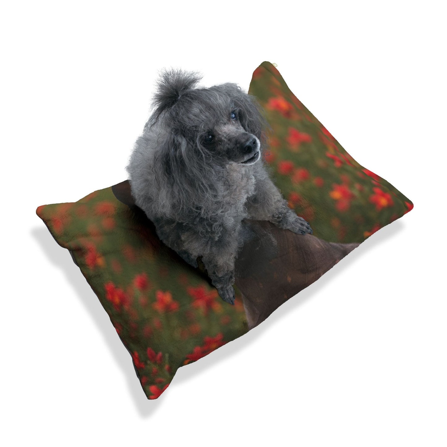 Haustierbett – Plüsch-Hundebett, 3 Größenoptionen