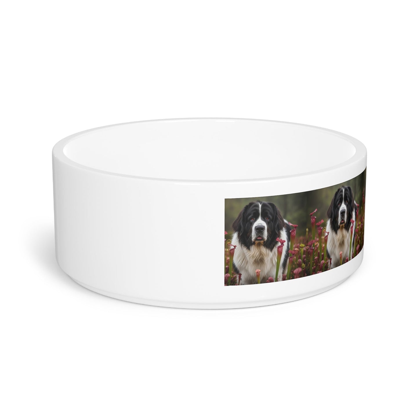 Ceramic Pet Bowl – 16 oz Dog Feeding Bowl