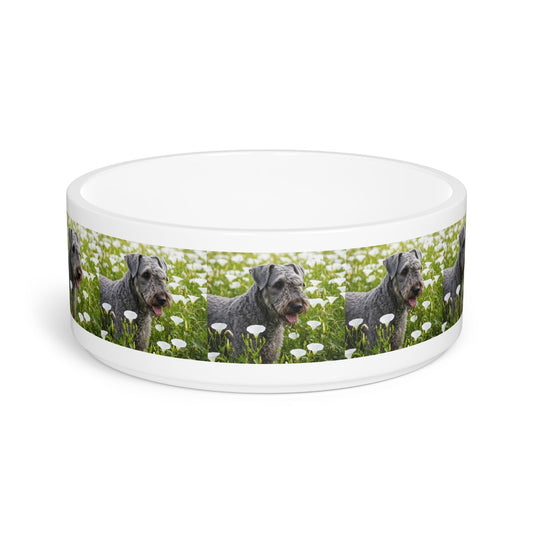 Ceramic Pet Bowl – 16 oz Dog Feeding Bowl