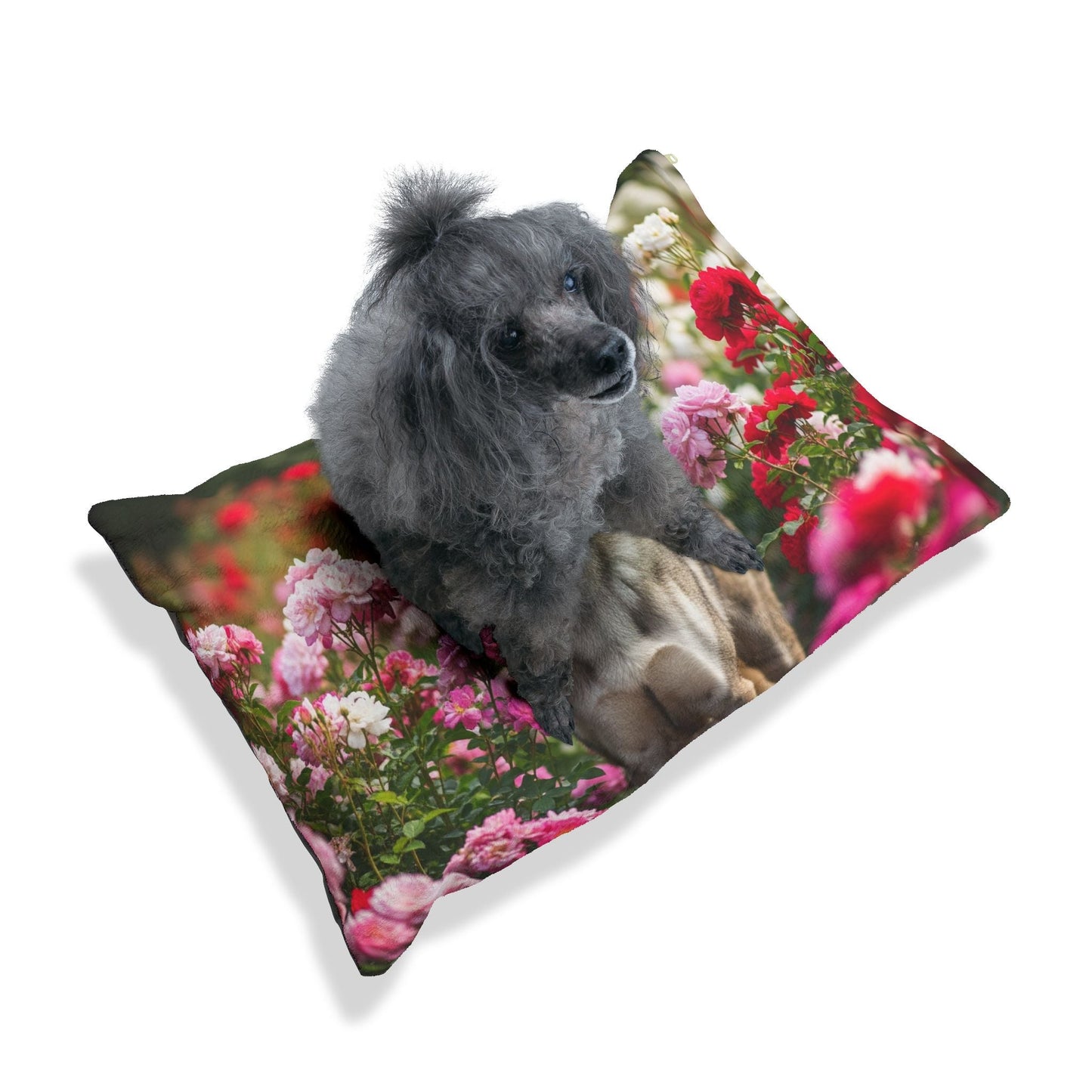 Hundebett – Plüsch-Hundebett, 3 Größenoptionen
