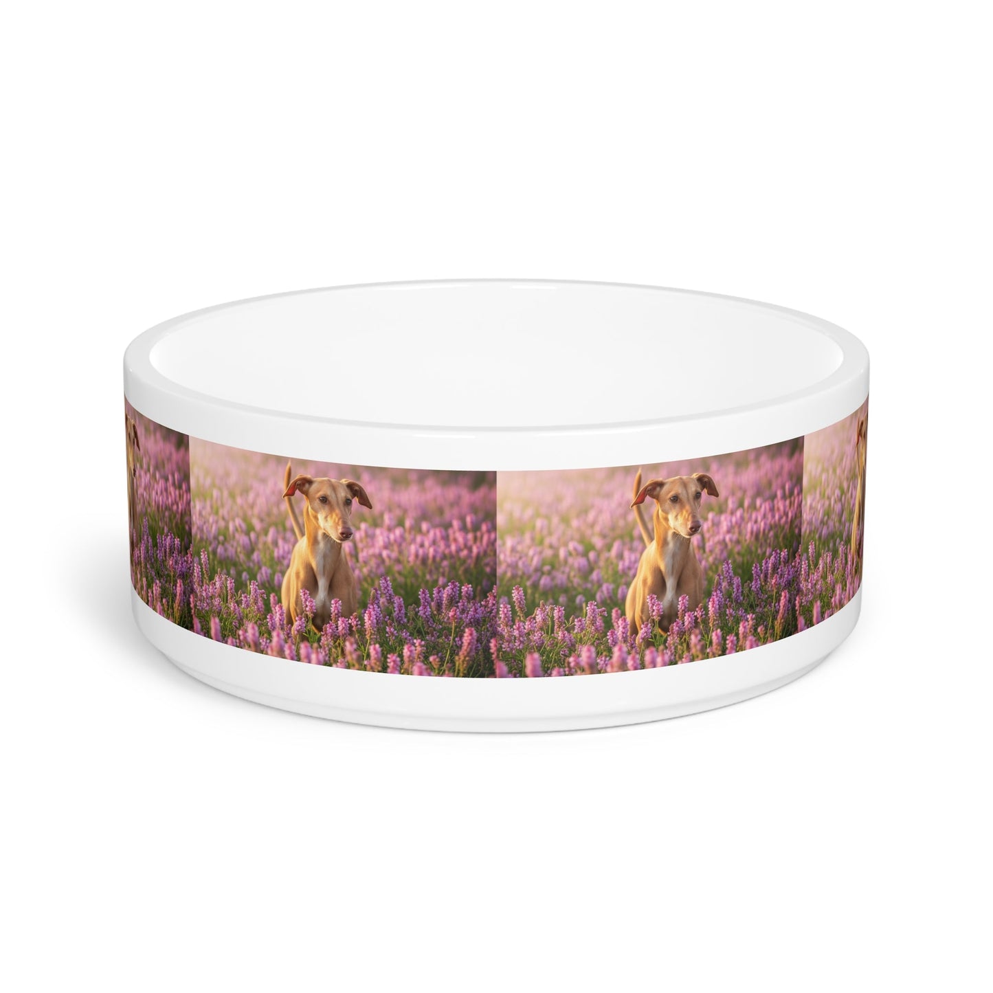 Ceramic Pet Bowl – 16 oz Dog Feeding Bowl
