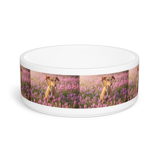Ceramic Pet Bowl – 16 oz Dog Feeding Bowl