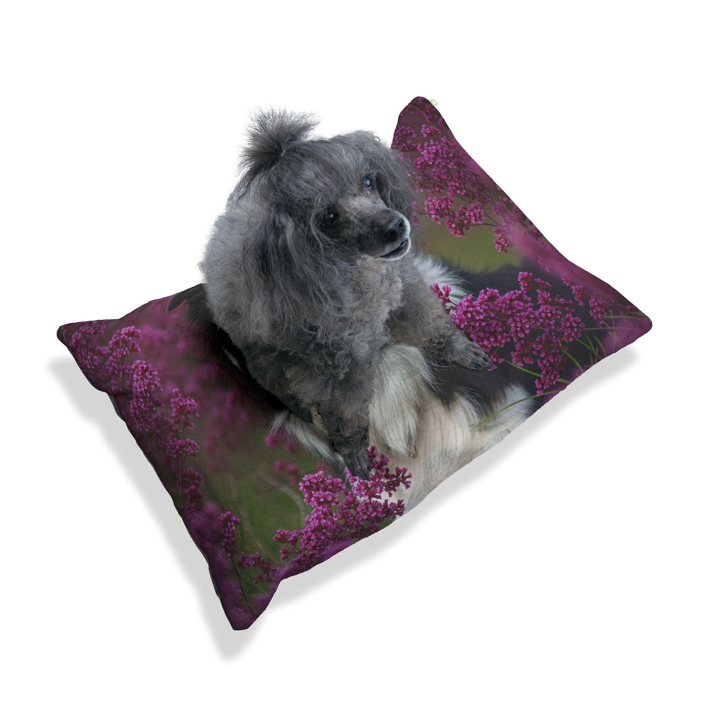 Pet Bed – Plush Dog Bed, 3 Size Options