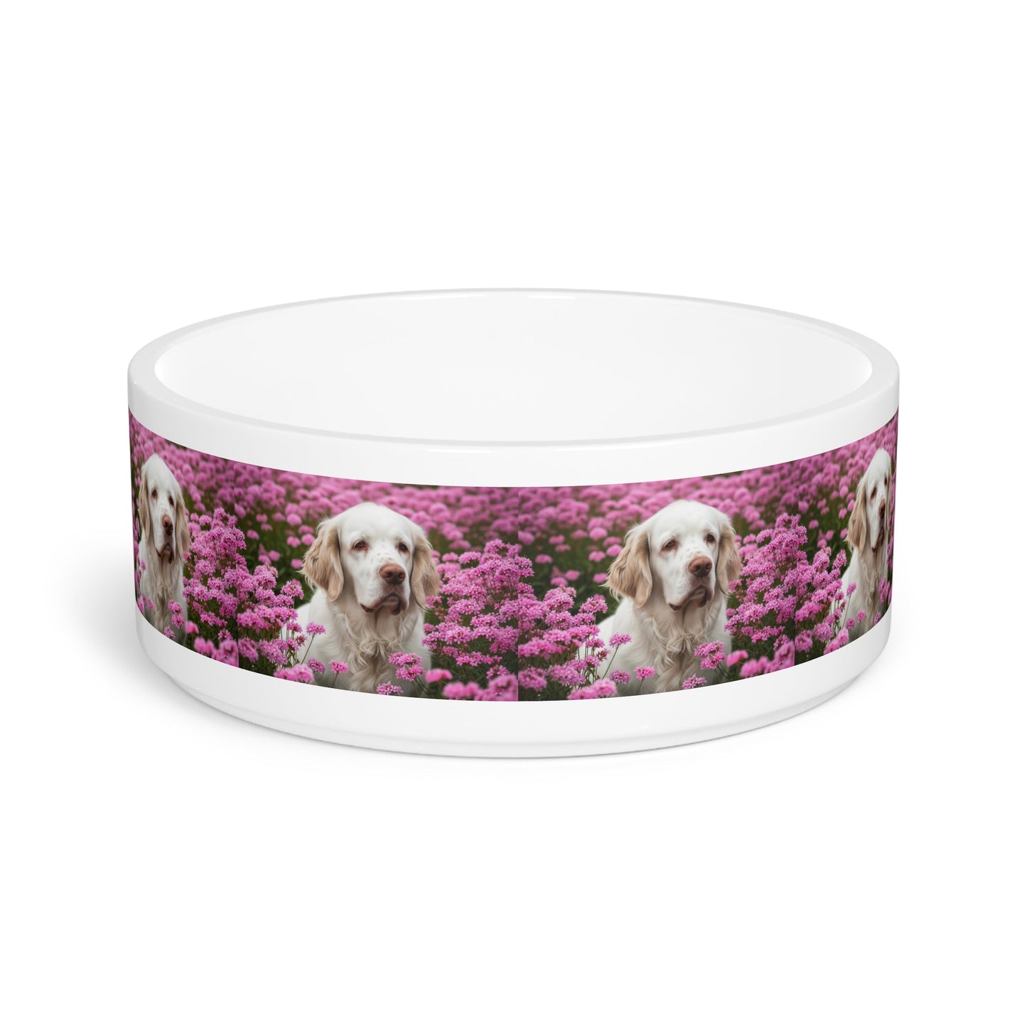 Ceramic Pet Bowl – 16 oz Dog Feeding Bowl
