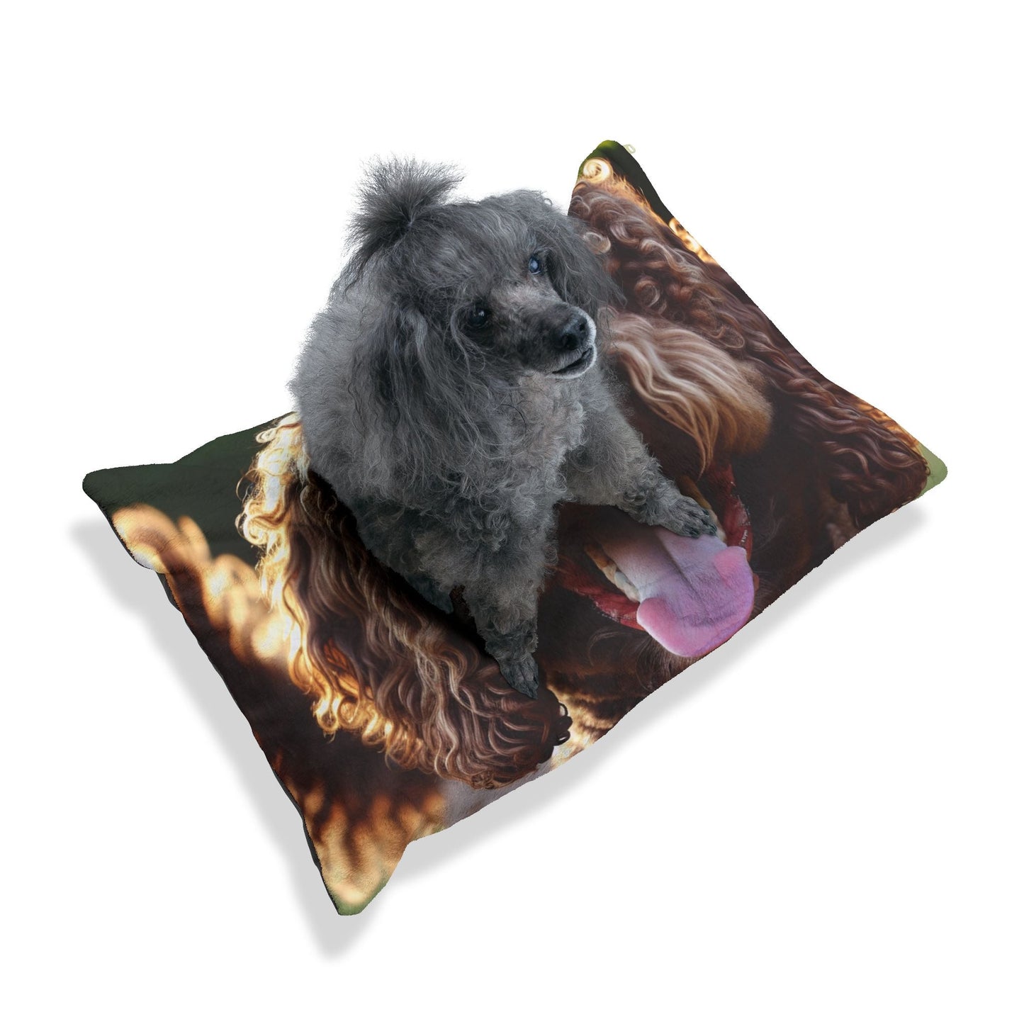 Pet Bed – Plush Dog Bed, 3 Size Options