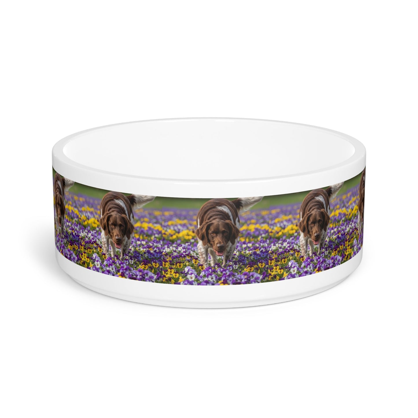 Gamelle en céramique pour animaux de compagnie – Gamelle de 47 cl pour chien