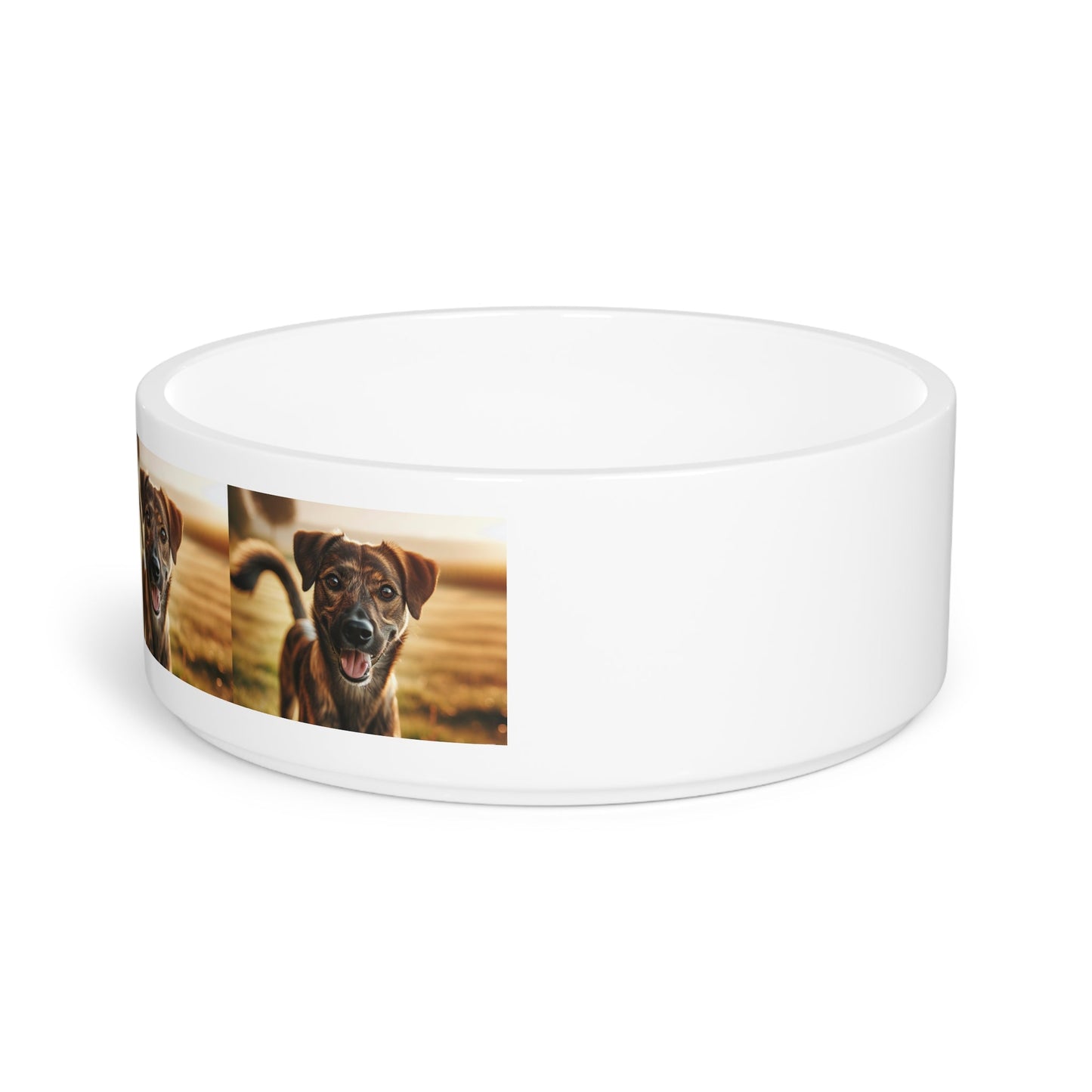 Ceramic Pet Bowl – 16 oz Dog Feeding Bowl