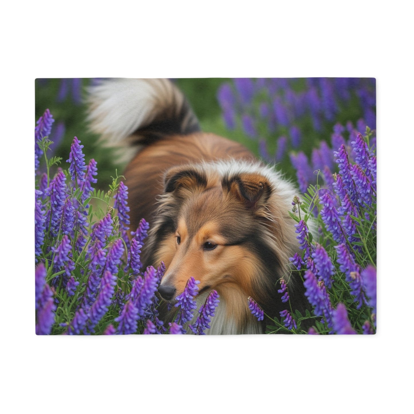 Sweatshirt Blanket – Plush Fleece Throw, 2 Size Options