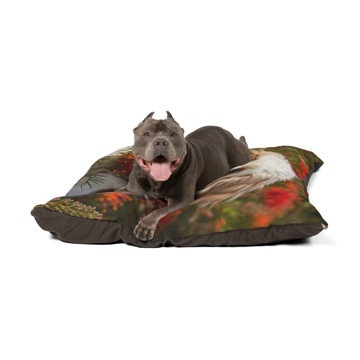 Pet Bed – Plush Dog Bed, 3 Size Options