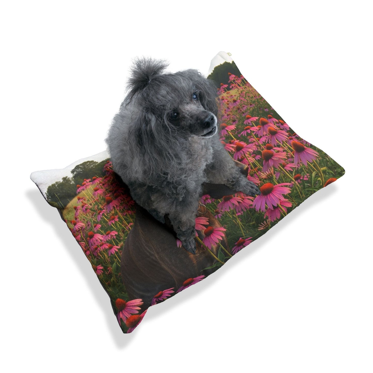 Lit pour animaux de compagnie – Lit douillet pour chien, 3 tailles disponibles
