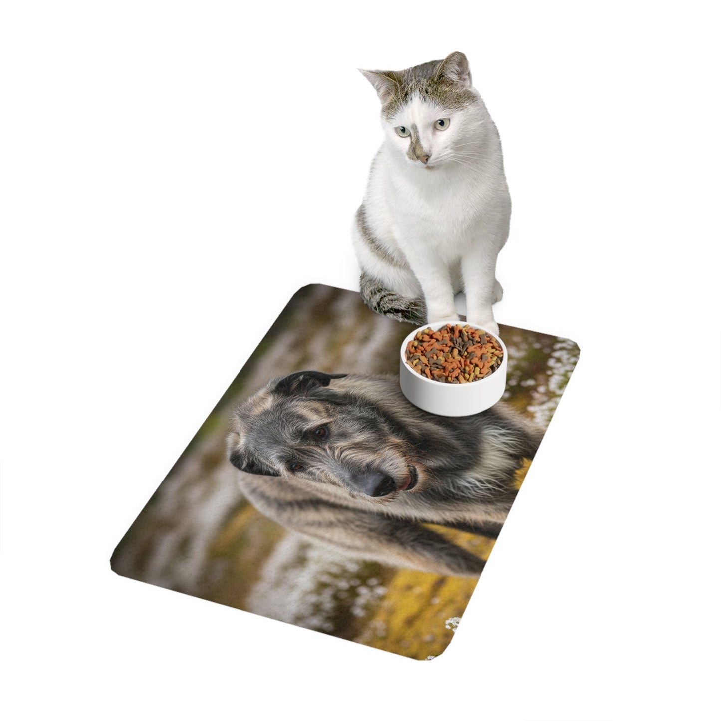 Tapis antidérapant pour animaux de compagnie – Tapis d'alimentation étanche pour chiens