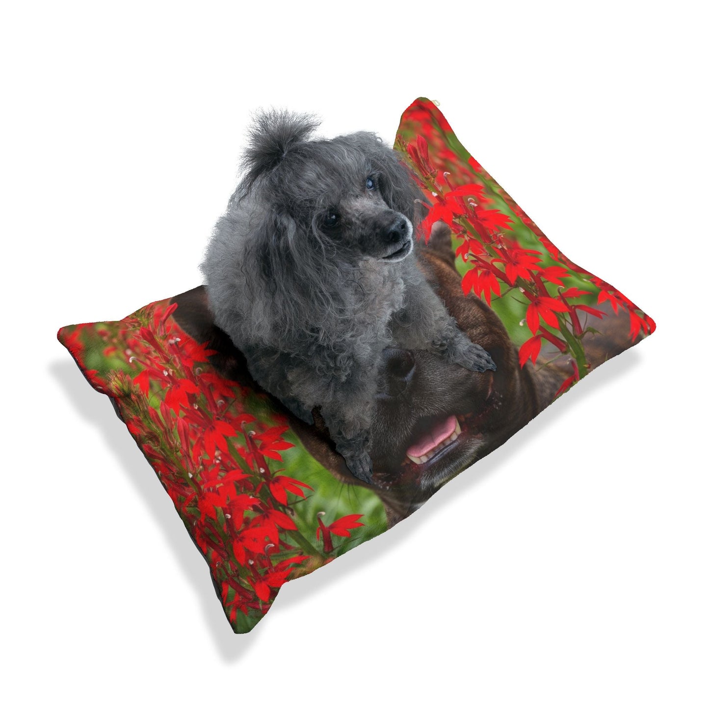 Hundebett – Plüsch-Hundebett, 3 Größenoptionen