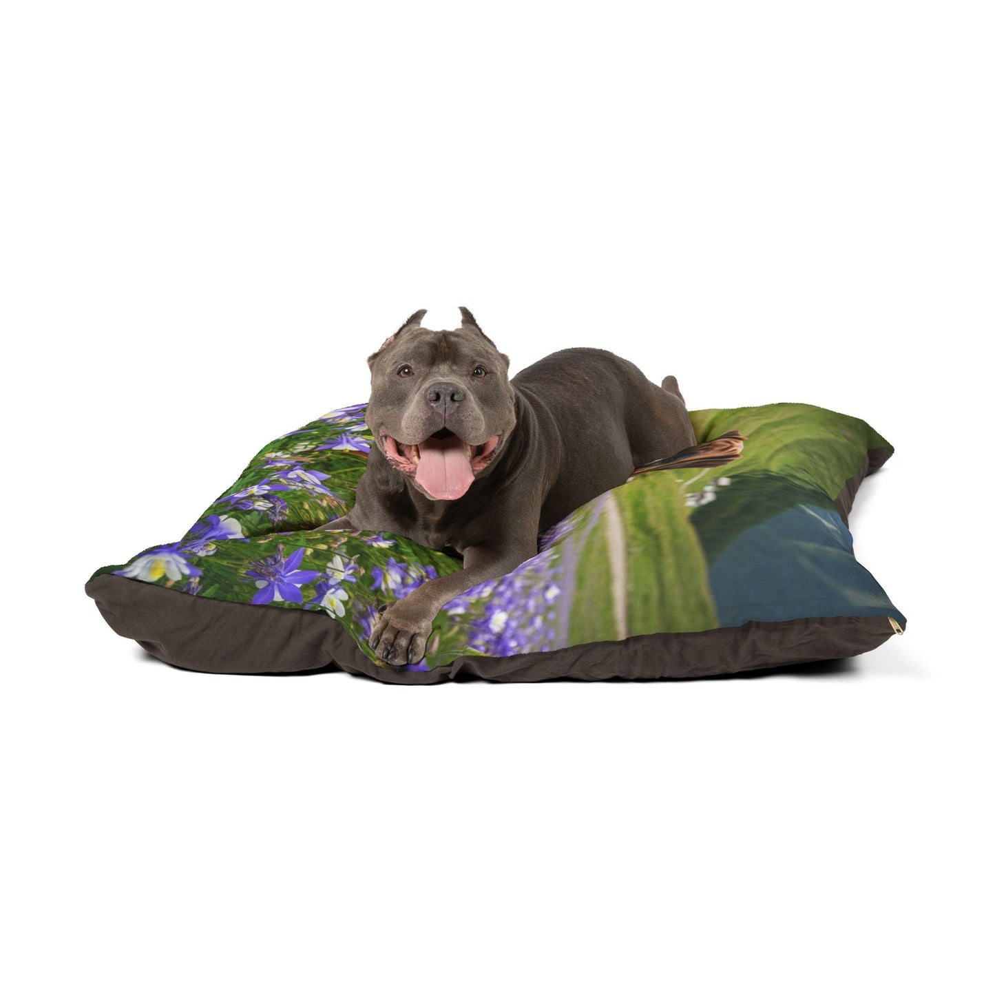 Pet Bed – Plush Dog Bed, 3 Size Options