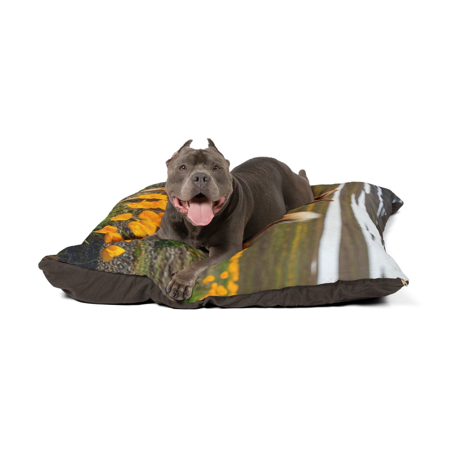 Lit pour animaux de compagnie – Lit douillet pour chien, 3 tailles disponibles