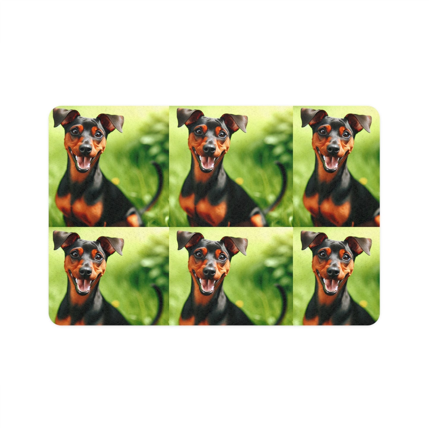 Non-Slip Pet Food Mat – Waterproof Feeding Mat for Dogs