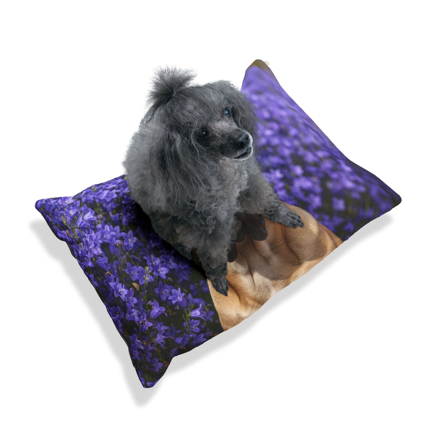 Pet Bed – Plush Dog Bed, 3 Size Options