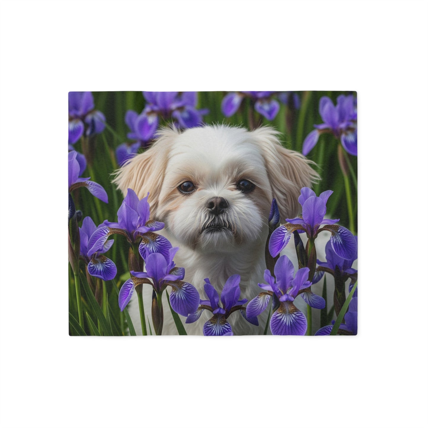 Sweatshirt Blanket – Plush Fleece Throw, 2 Size Options