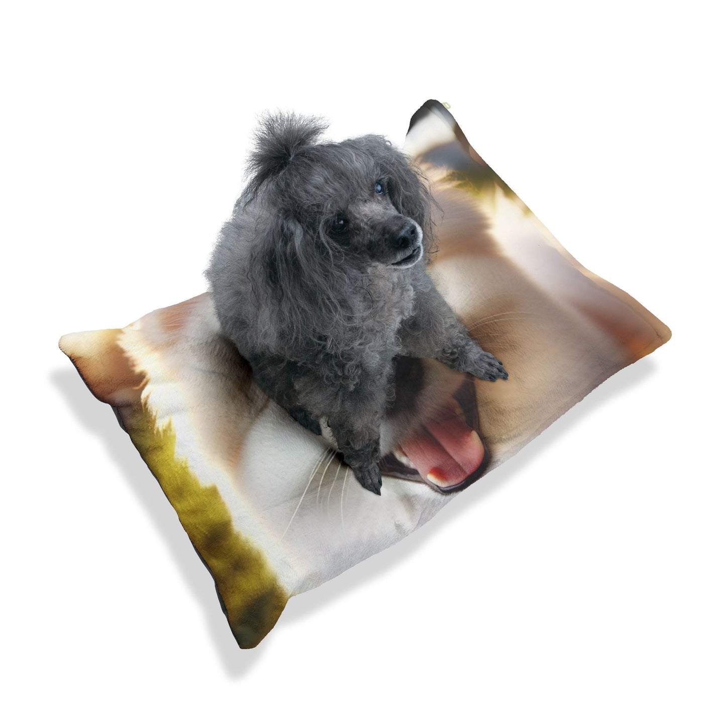 Lit pour animaux de compagnie – Lit douillet pour chien, 3 tailles disponibles